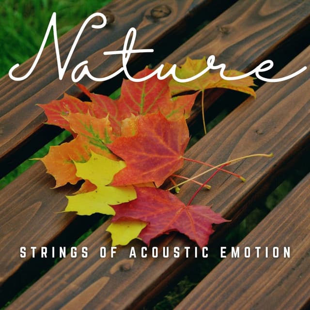 Strings of Acoustic Emotion: Soulful Reverie - Momento