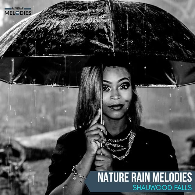Nature Rain Melodies - Shauwood Falls - The Rain Library