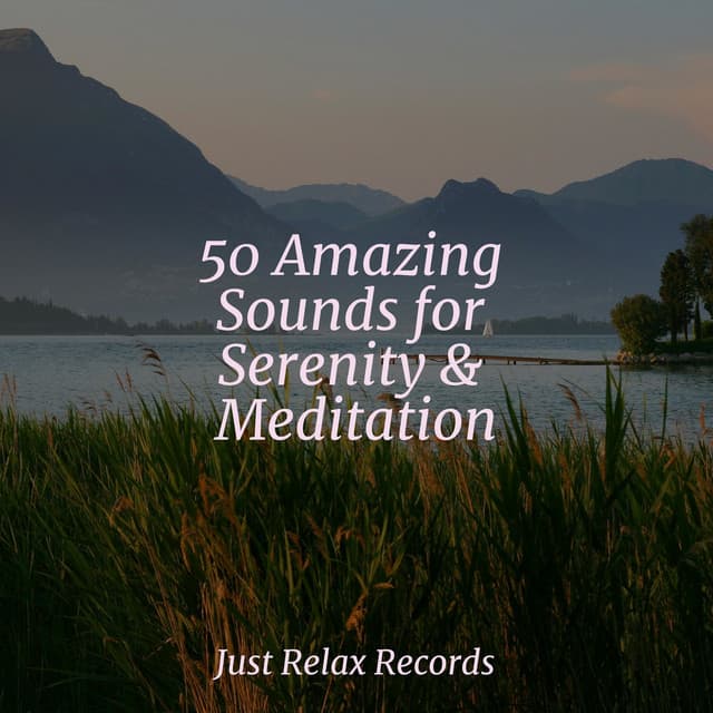 50 Amazing Sounds for Serenity & Meditation - Lullabyes