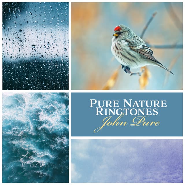 Pure Nature Ringtones: Morning Alarm Clock - John Pure