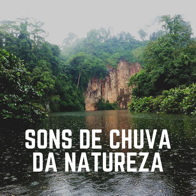 Sons de Chuva da Natureza - Sons da natureza HD