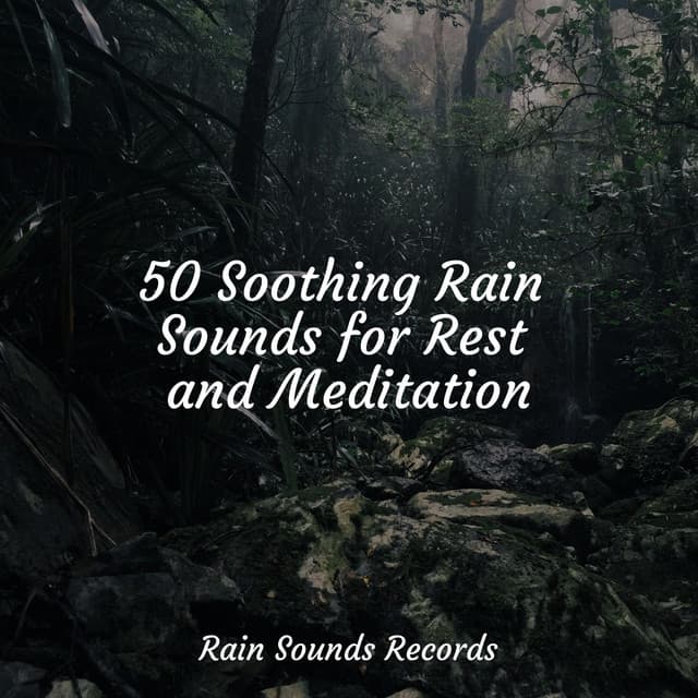 50 Soothing Rain Sounds for Rest and Meditation - Lucid Dreaming Music