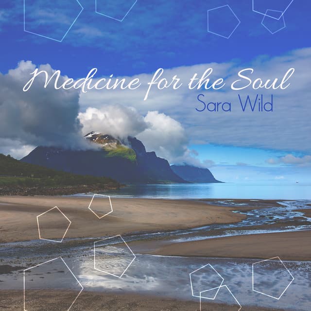 Medicine for the Soul - Sara Wild