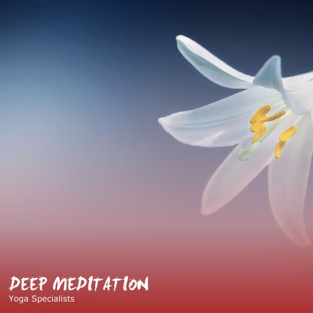 Rising Higher Meditation