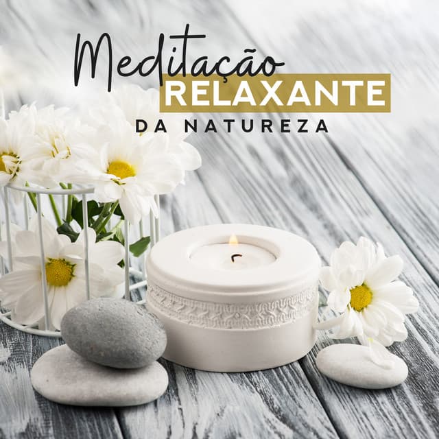 Conjunto de Música de Meditação Budista