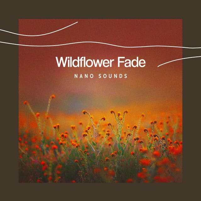 Wildflower Fade - Nano Sounds