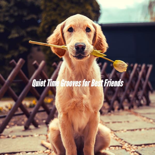 Quiet Time Grooves for Best Friends - Dog Music Radio