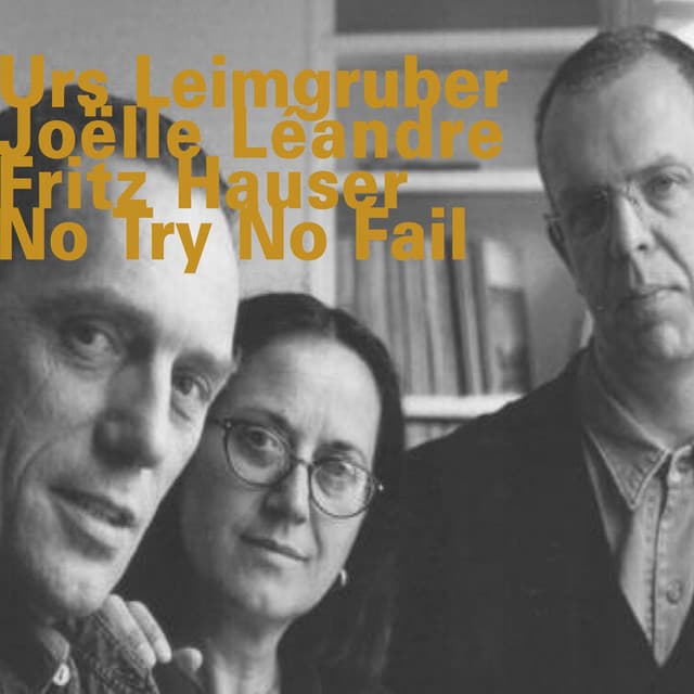 No Try No Fail - Urs Leimgruber