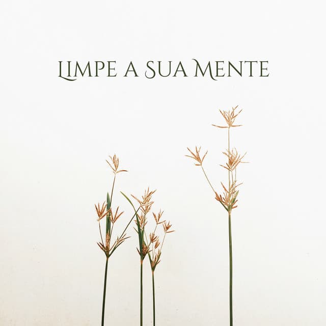 Limpe a Sua Mente: Calma e Harmonia, Sons Delicados, Relaxamento Absoluto - Academia de Música de Fundo e Ambiente