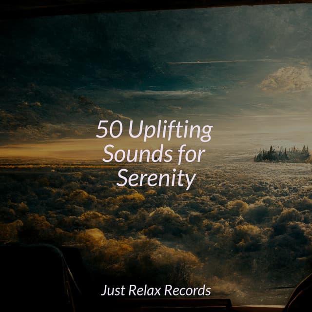 50 Uplifting Sounds for Serenity - Study Music & Sounds