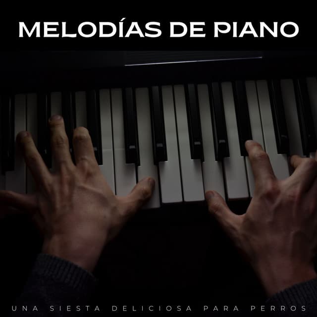 Melodías De Piano: Una Siesta Deliciosa Para Perros - Domingo de piano