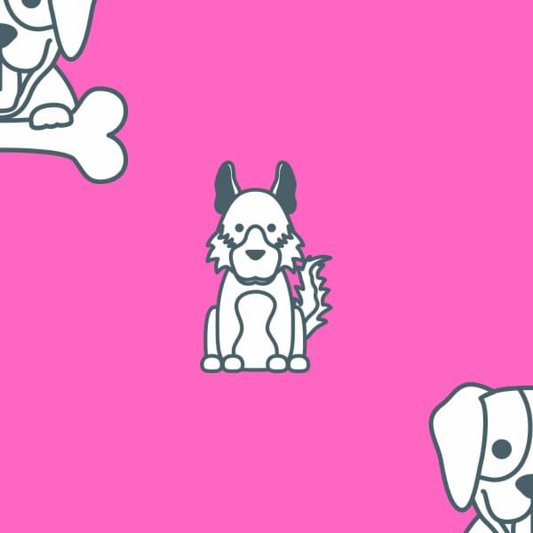 Music for Doggo in Winter - Relax My Puppy