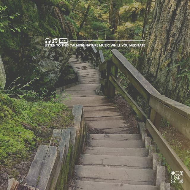 Listen to This Calming Nature Music While You Meditate - Memorable