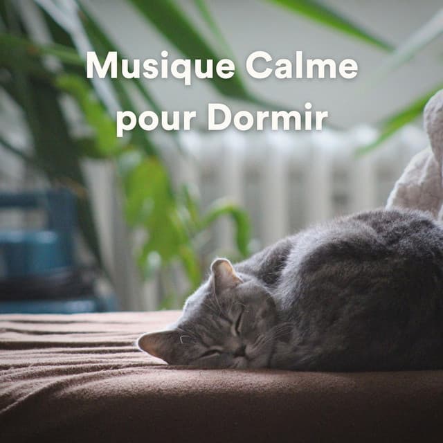 Aide Au Sommeil