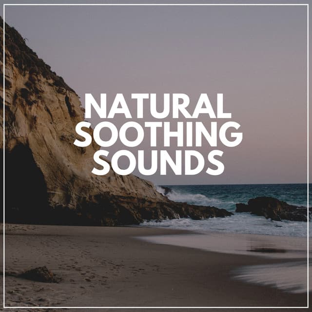 Natural Soothing Sounds - Organic Sound