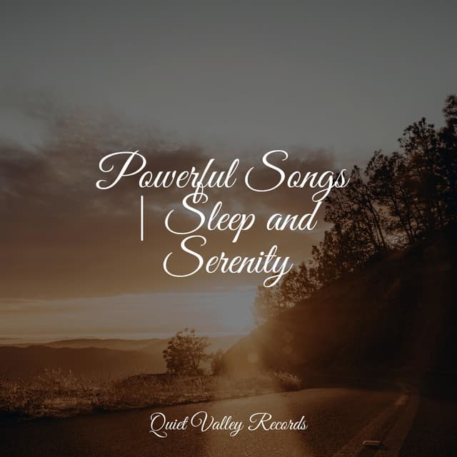 Powerful Songs | Sleep and Serenity - Sounds Of Rain & Thunder Storms