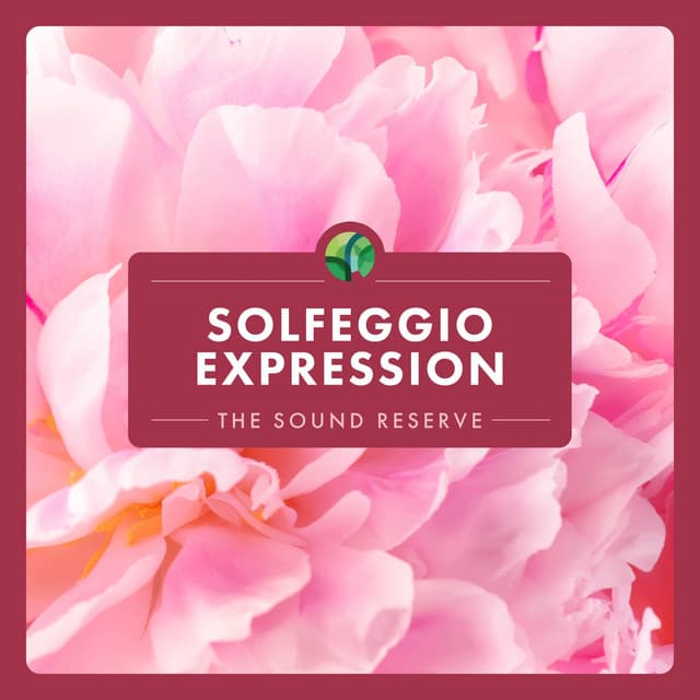 Solfeggio: Expression - The Sound Reserve