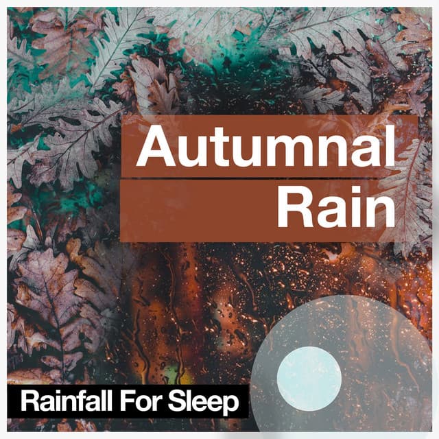 Autumnal Rain - Rainfall For Sleep