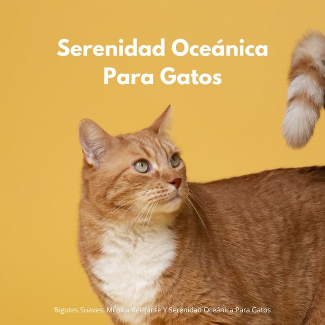 Bigotes Suaves: Música Relajante Y Serenidad Oceánica Para Gatos - Tranquilidad Eterna