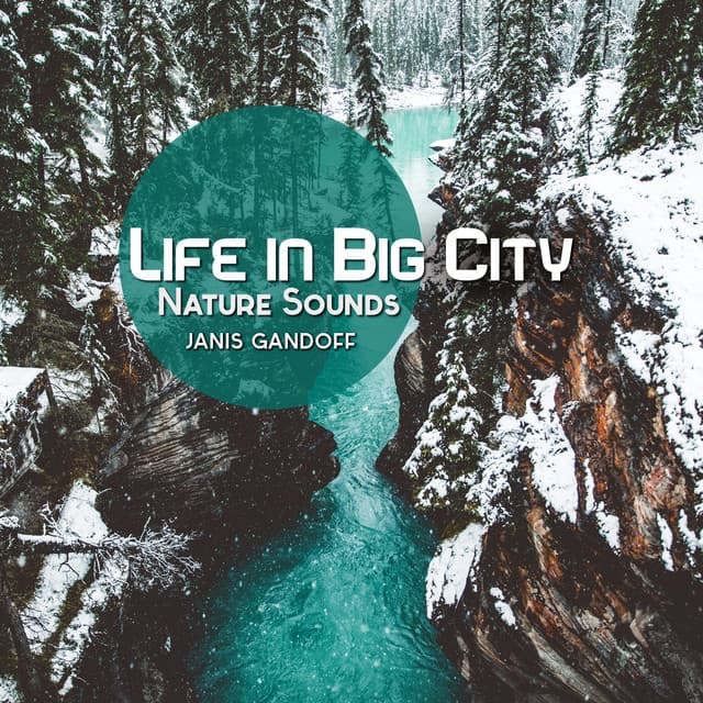 Life in Big City - Janis Gandoff