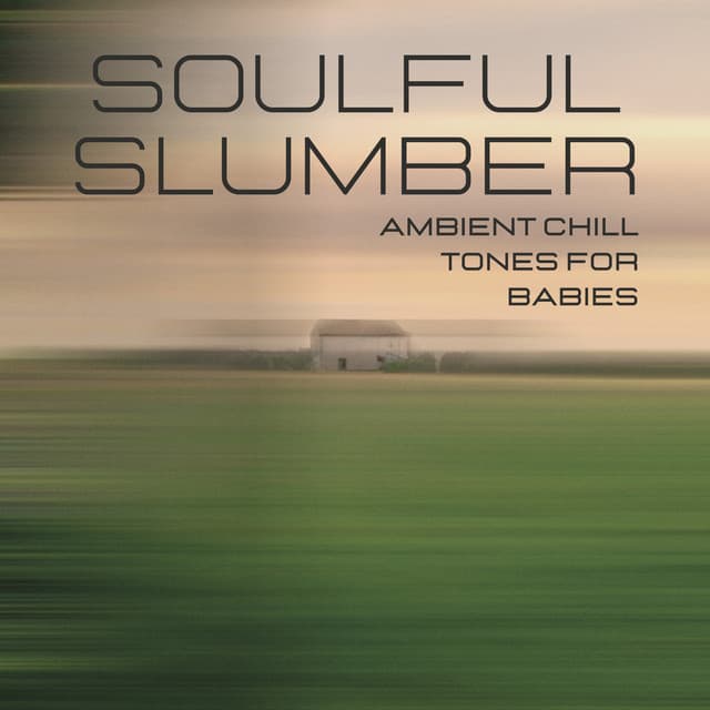 Soulful Slumber: Ambient Chill Tones for Babies - Healing Music Spirit