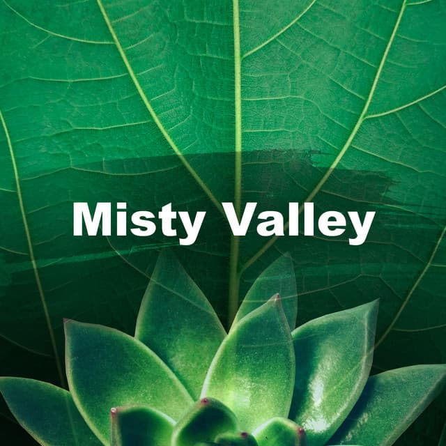 Misty Valley - Best of Mother Nature Sounds