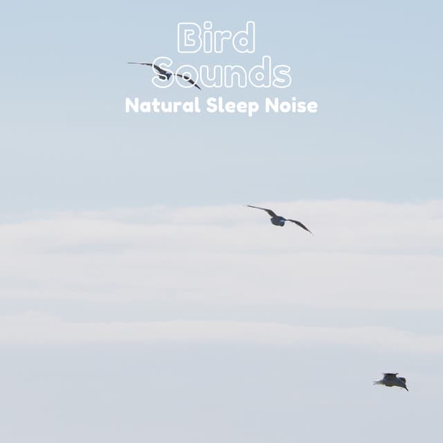 Bird Sounds Nature Sleep Noise - Natural Sample Makers