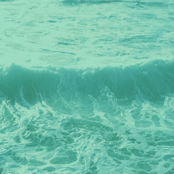 Music for Wellness - Sparkling Bossanova - Dinner Music