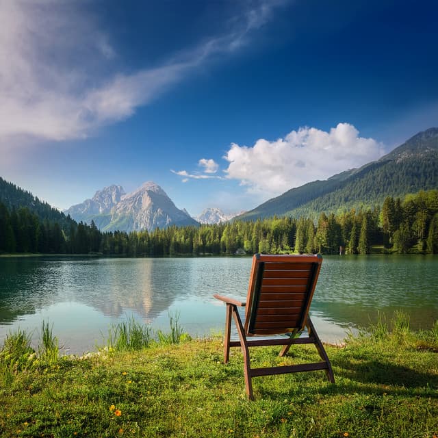 Music For Slowing Down And Letting The World Fade Away - Gato Total Relax