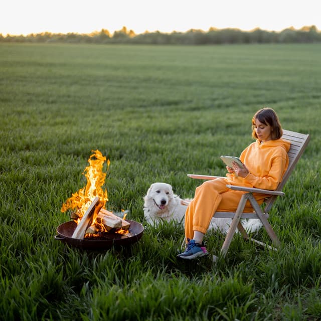 Fireside Paws: Binaural Soundscapes for Relaxing Dogs - Afternoon Chill Out Playlist