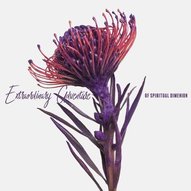 Extraordinary Adventure of Spiritual Dimenion Trough Exotic Places of the World - Exotic Power Maker