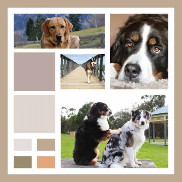 Energetic Trumpet Smooth Jazz - Background for Doggy Bedtime - Dogs at Home