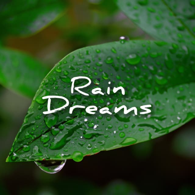 Rain Dreams - Sounds Of Nature