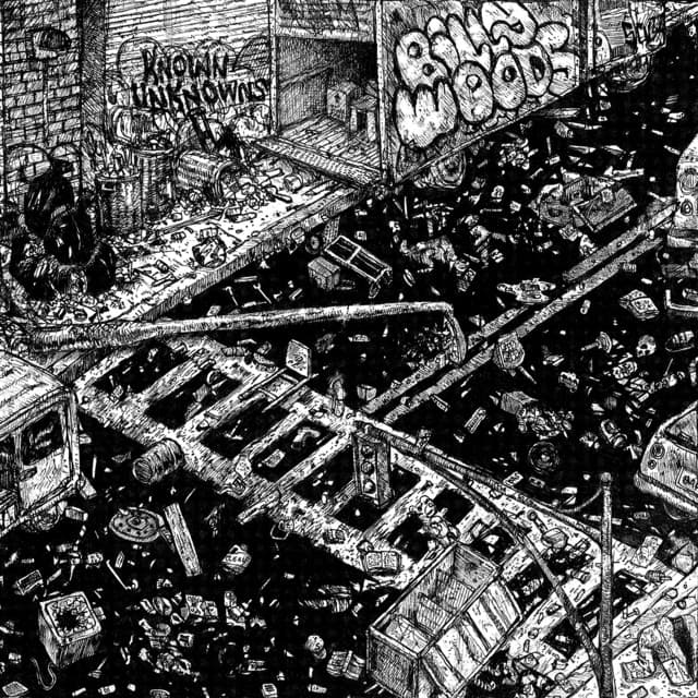 Known Unknowns - billy woods