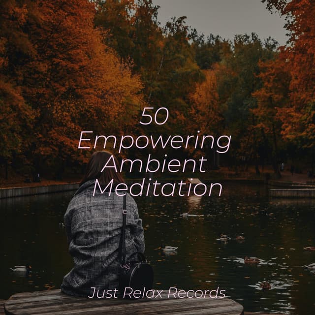50 Empowering Ambient Meditation - Deep Sleep Meditation