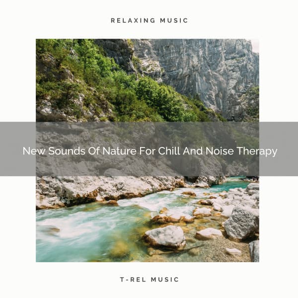 2020 Best: New Sounds Of Nature For Chill And Noise Therapy - Water Sounds for Sleep