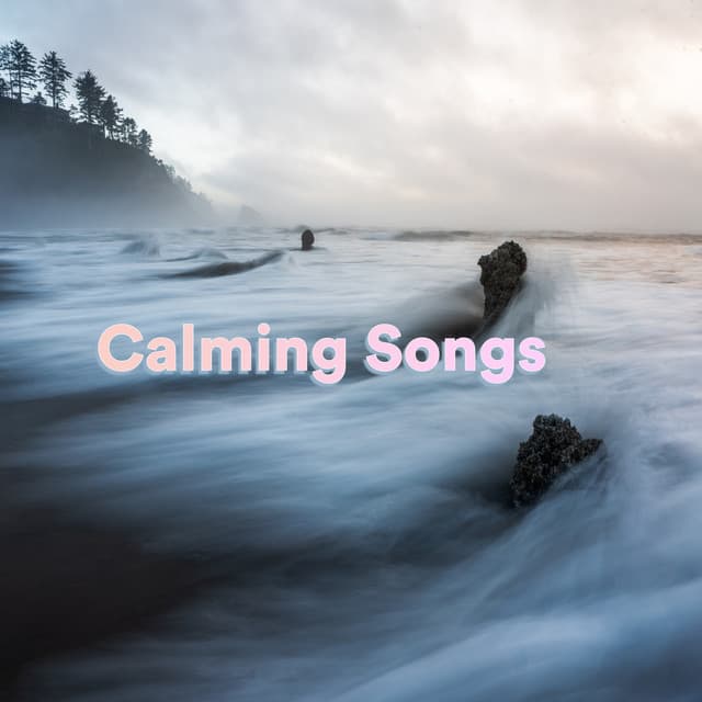 Calming Songs - Relaxation Songs