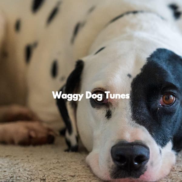 Waggy Dog Tunes - Calm Dog Music