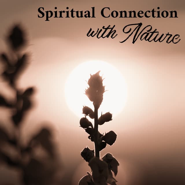 Spiritual Connection with Soothing Airflow - Elliot Woods