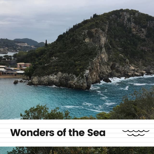 Wonders of the Sea - Ocean Sound Machine