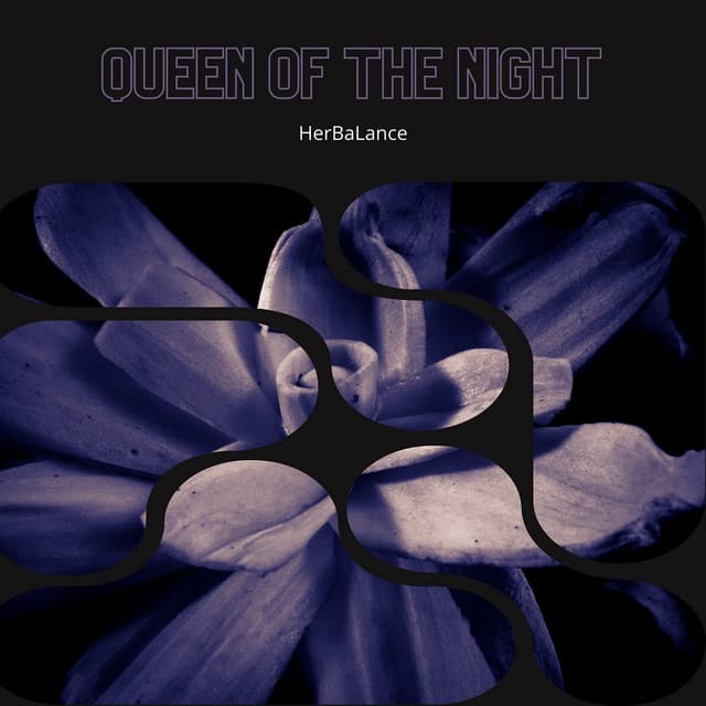 Queen of the Night: The Magic of Passionflower - HerBaLance