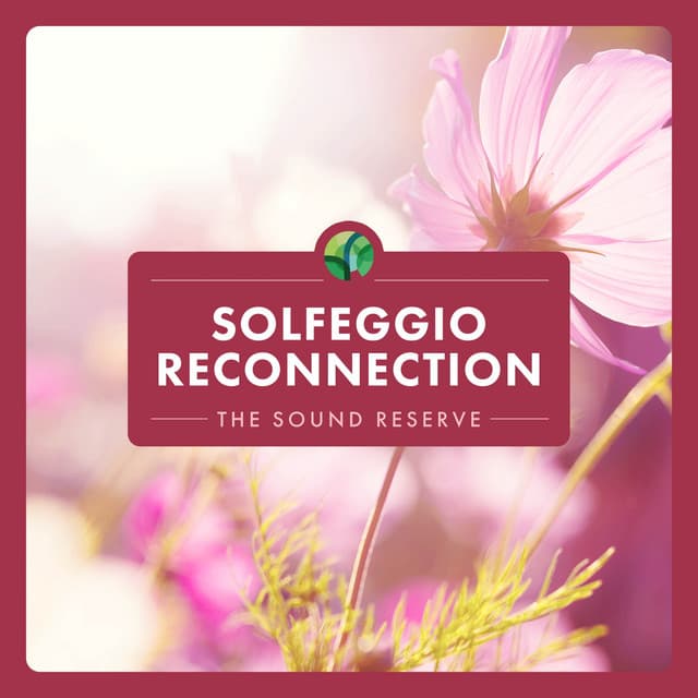 Solfeggio: Reconnection - The Sound Reserve