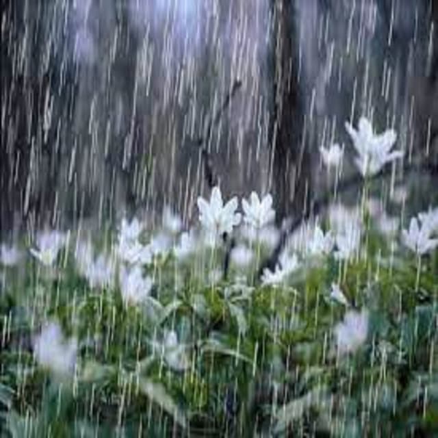 Gentle Rains - White Noise Nature Sounds Baby Sleep