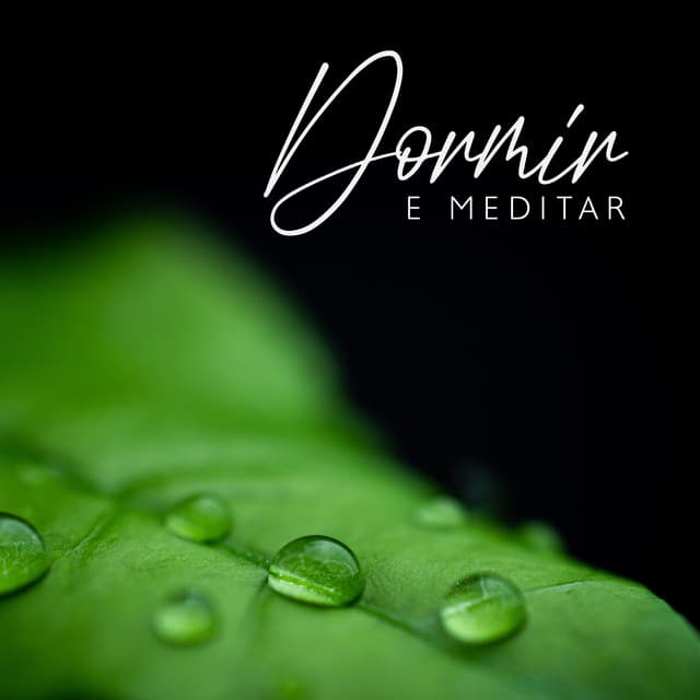 Dormir e Meditar - Relaxantes Natureza Zona