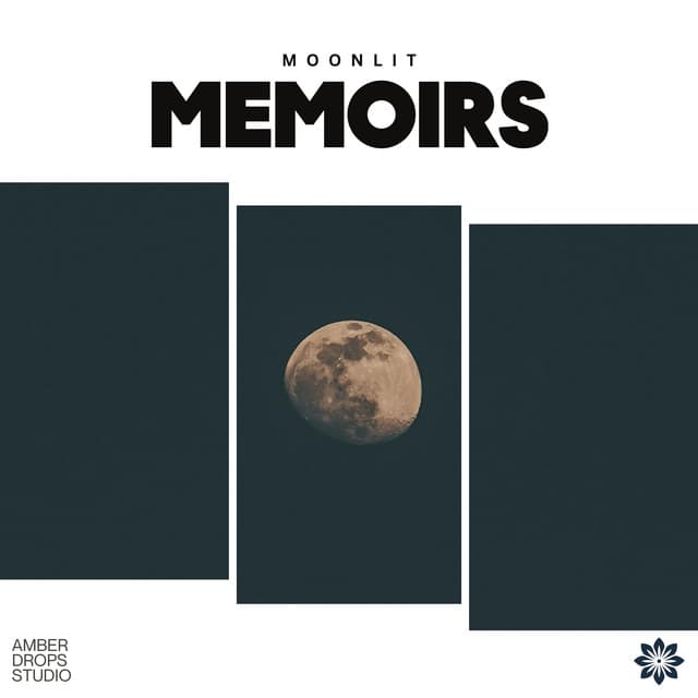 Moonlit Memoirs - CreativeWaves