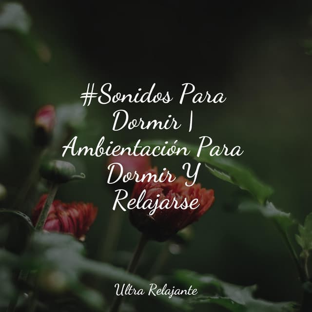 Música a Relajarse