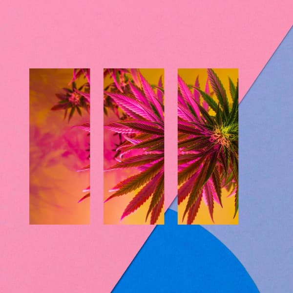 Music for Reclining Times - Joyful Latin Piano Jazz - Happy Morning Music