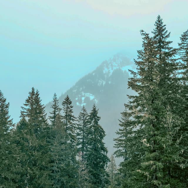 1 Hour of Static: Nature-Inspired Ambience - White Noise for Babies