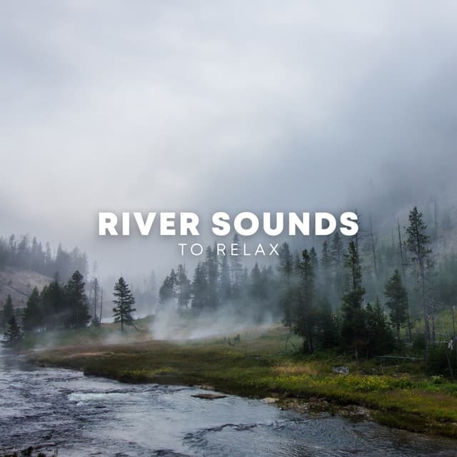 River Sounds To Relax - ASMR Earth