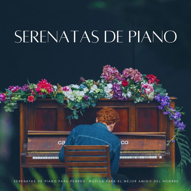 Serenatas De Piano Para Perros: Música Para El Mejor Amigo Del Hombre - Maestros de la música de relajación para piano